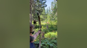 Could You Hit a Moving Bow/Archery Target: Dynamic Range X1 Plus in Action