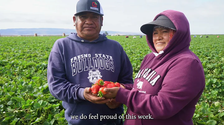 Strawberry Farmworkers: Cipriano & Bernardina