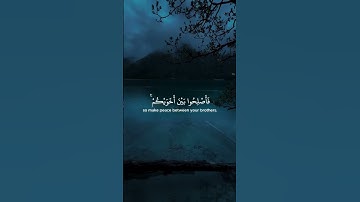 سورة الحجرات ١٠ Surah Al-Hujurat 10