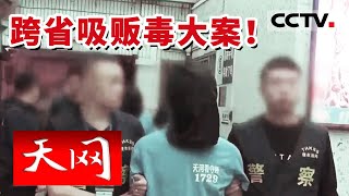 《天网》跨省吸贩毒大案！无业游民却经常出入高档消费场所 “发家”路竟是贩毒？| CCTV社会与法