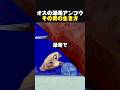 オスの深海アンコウその男の生き方