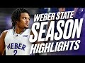 Dillon Jones FULL Weber State Season Highlights | Big Sky POY | 20.8 PPG 9.8 RPG 5.2 APG 48.9 FG%