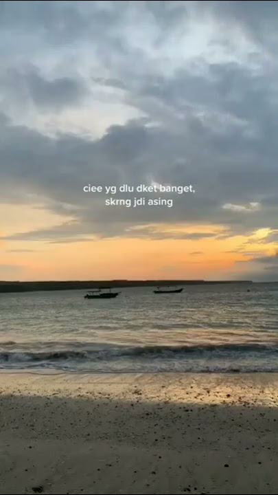 STORY WA 30 DETIK TERBARU || SEKARANG JADI ASING:)