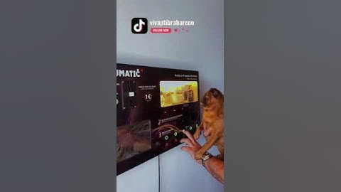 Perfumatic and VIVA!