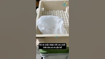 Túi lọc hỗ trợ lọc nước cho bể cá dùng được hầu hết các bộ lọc #aquarium #youtubeshorts