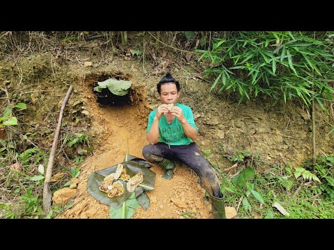 Harvesting natural honey in a stone cave - farm life