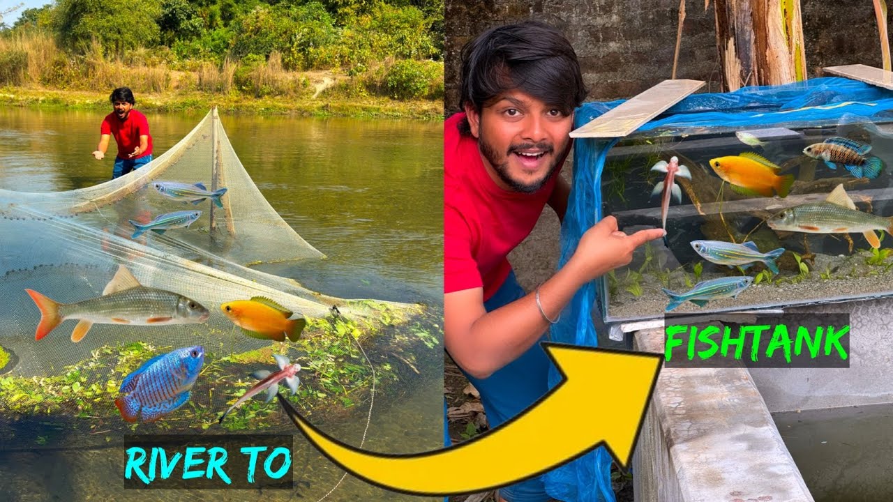 Nadi Fishing se Ghar ke Fishtanks tak😜🥳❤️
