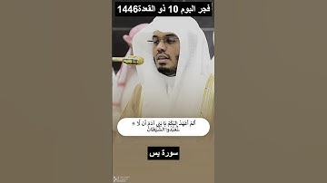 تلاوة من #سورة_يس من فجر اليوم #10#ذو _القعدة #1446ه #ياسر_الدوسري #yasseraldossary #الحرم_المكي