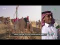 ديرتنا انطلاق مهرجان الهجن اليوم بالطائف بفعاليات متنوعة تدعم الموروث التراثي ديرتنا انطلاق مهرجان الهجن اليوم بالطائف بفعاليات متنوعة تدعم الموروث التراثي