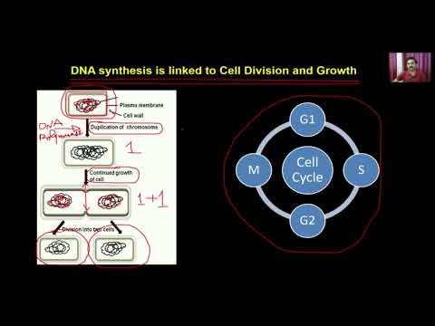 Bio class12 unit 11 chapter 02 -biotechnology- principles and processes    Lecture -2/6