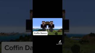 coffin dance