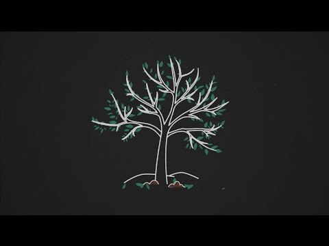 Chicago Nonprofit Animated