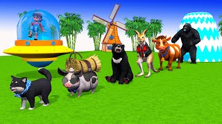 Paint & Animals Duck, Cow, Gorilla, Lion, chicken, Elephant, Fountain Crossing Turtle Cartoon Game