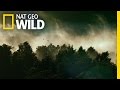 Official Trailer | Wild New Zealand