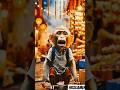 poor monkey didn't buy crackers diwali