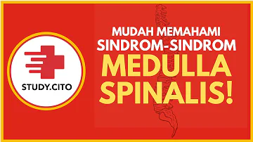 CITO Free Class - Mudah Memahami Sindrom-Sindrom Medulla Spinalis!