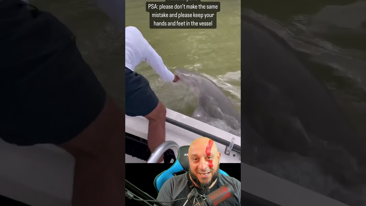 Tubarão puxa pescador do barco e joga dentro d’água em Parque nos Everglades