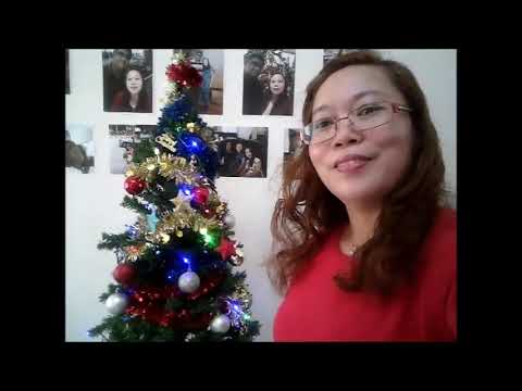 putting-up-my-christmas-tree