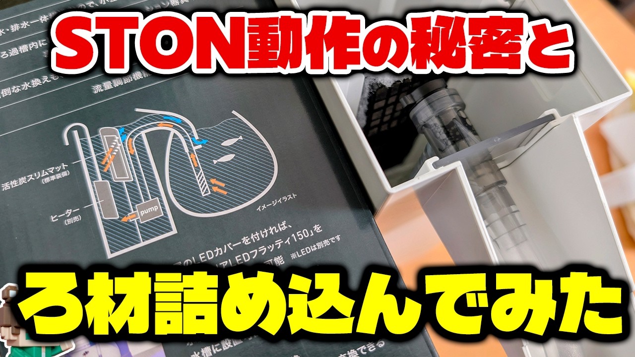 【新発見】STONはどれだけ濾材が入る？サイフォン停止穴の機能とは何？濾過槽周りをチェックしよう【ビバアクア】#アクアリウム #熱帯魚