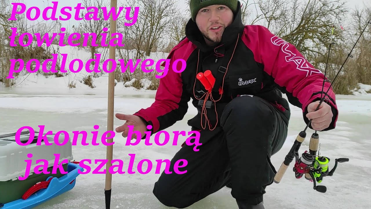 Cały czas biorą okonie , podstawy porady,  łowienie podlodowe  , biorą same giganty :P chętne okonie