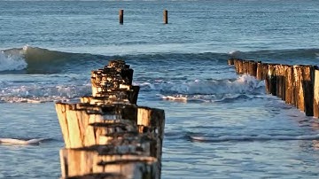 Cầu nguyện cùng Đức Giáo Hoàng ngày 01.6.2024 - Tông đồ cầu nguyện