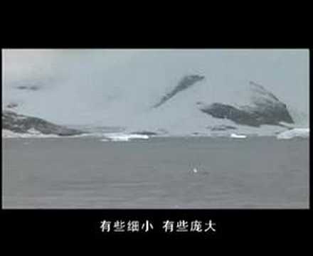 影星安东尼•霍普金斯(Anthony Hopkins)为拯救鲸鱼疾呼