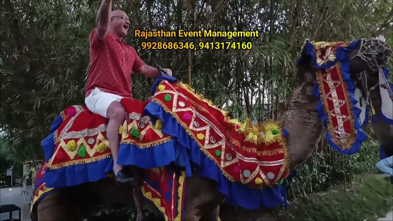 Camel horse  ride rental, Udaipur, India, Event planner, camel cart, Local culture of udaipur