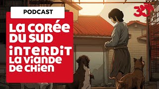 PODCAST - La viande de chien, c'est fini en Corée du Sud !