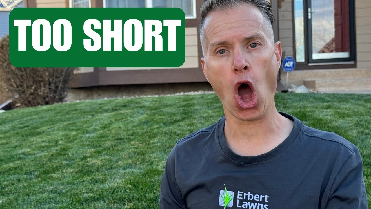 Why Cutting Your Grass At The Wrong Height Can Hurt Your Lawn YouTube
