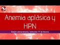 Anemia aplásica y HPN