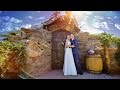 Наталья и Сергей. Wedding hightlights