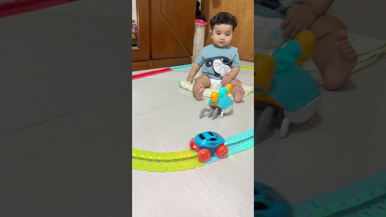 Rechargeable crab toy 