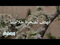 مزمور ٩٥ مزمور ٩٥