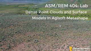 REM 475 Lab: Point clouds and elevation surfaces in Metashape