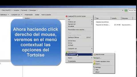 Instalación Tortoise SVN - Repositorio local