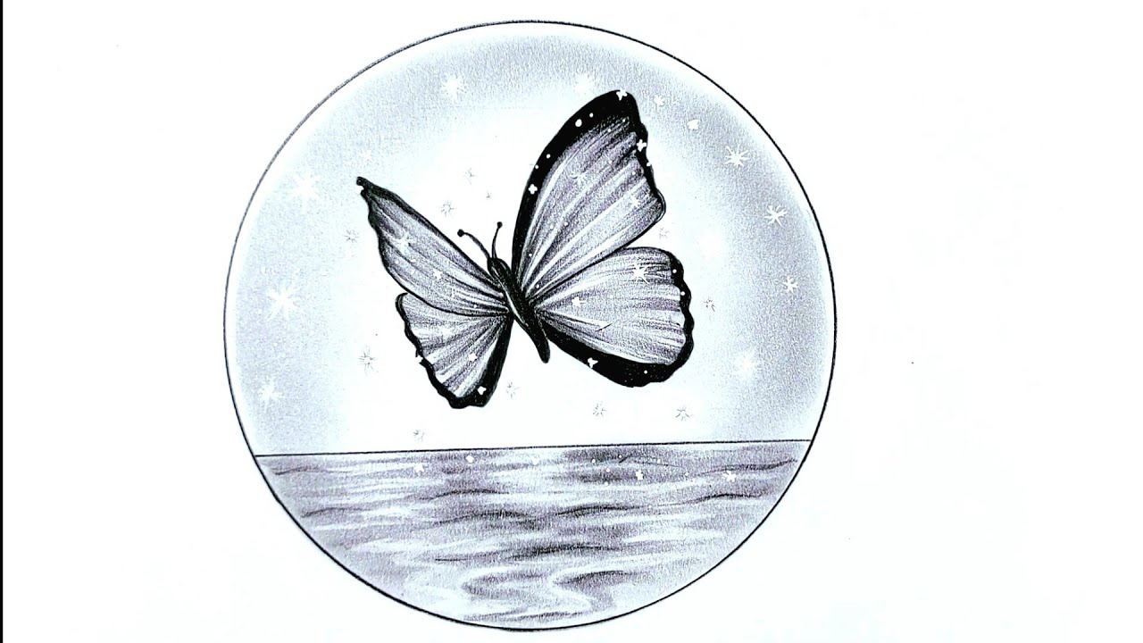 How to draw a butterfly step by step in pencil / Simple drawings for  beginners - thptnganamst.edu.vn