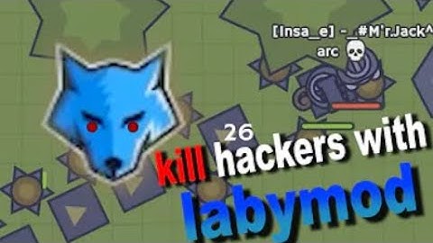 Moomoo.io - 🔥Killing hackers with Labymod 🔥(FirE WorK