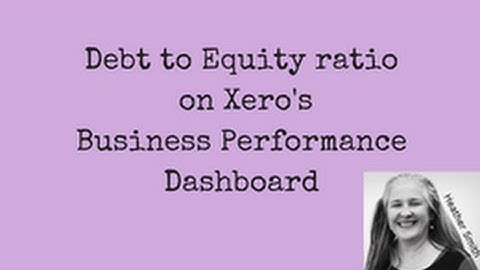 Debt to Equity Ratio on Xero