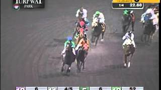 Turfway Park 12262015 Race 3
