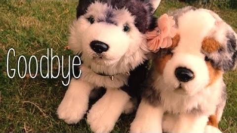 •| G O O D B Y E  | • | A Song dedicated | • | Webkinz Music Video |•
