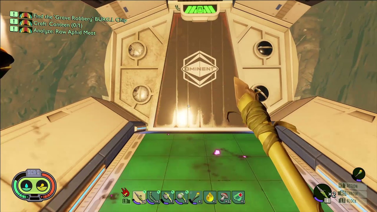 Grounded Wolf Spider Indoors (Arachnophobia / Jump Scare Warning