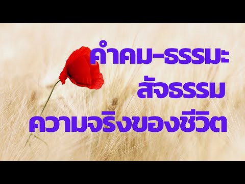 คำคม-ธรรมะ สัจธรรม และความจริงของชีวิต Ep.8 | ถนนแต่ละสาย มีจุดหมายไม่เหมือนกัน