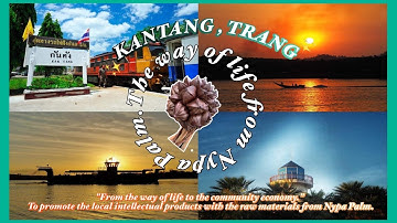 The way of life from Nypa Palm - KANTANG TRANG THAILAND