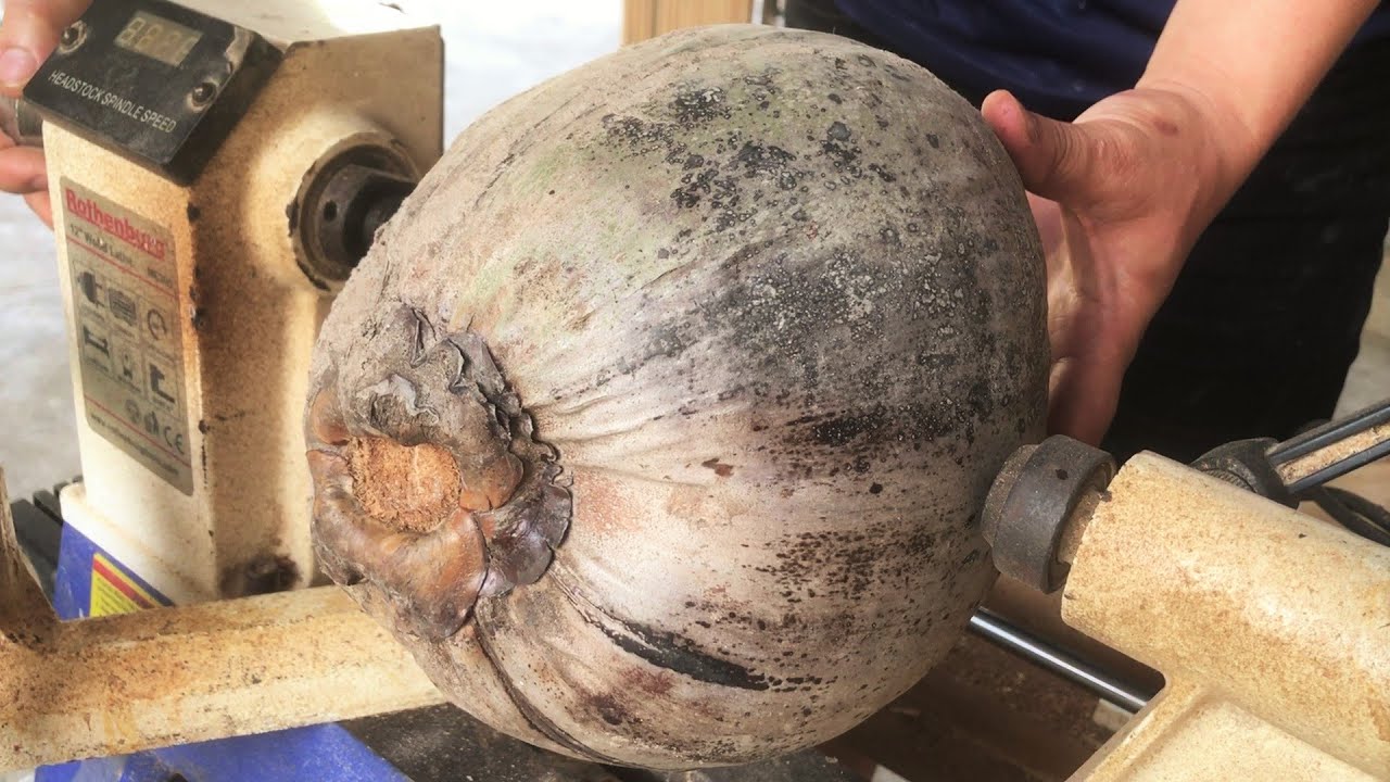 Wood Turning Ideas in 2023 – The Perfect Transformation from A Dried Coconut to A Valuable Object