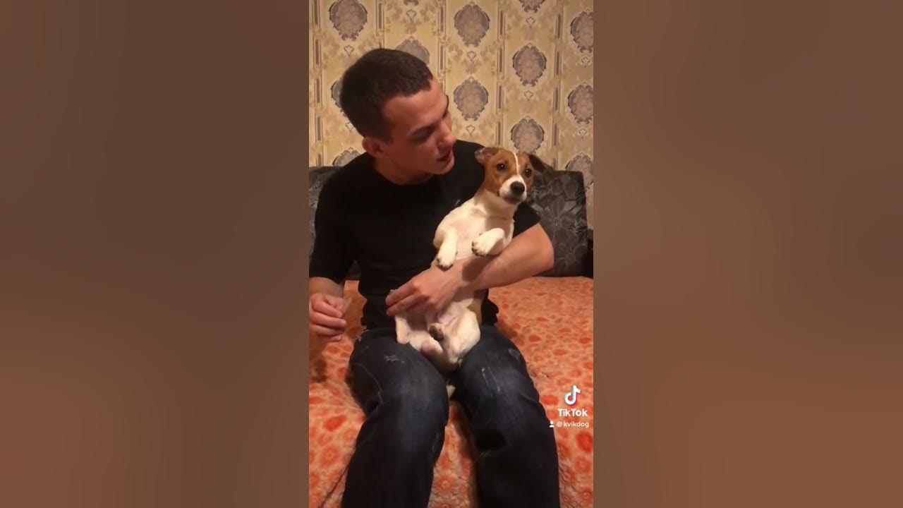 Неприемлемый контент 😅 - YouTube