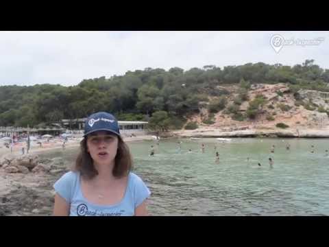 Alle wichtigen Fakten zum Playa Portals Vells auf Mallorca - Strandvorstellung