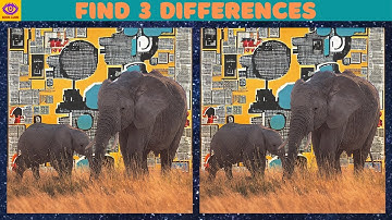 【Find the Difference】 Brain Puzzle Game - Part 142