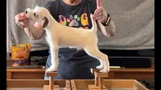 524994781 24309743558645178 1643021316148778064 n 1