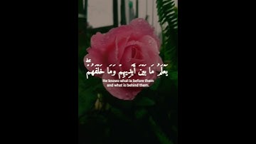 اية الكرسي القارئ احمد خضر
