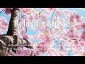 Nature’s Rhythm 🌿 Deeply Relaxing Music to Awaken Your Senses & Restore Your Spirit